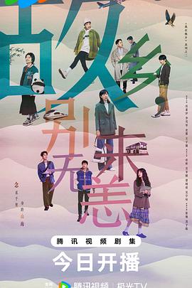 丽水seo排名优化推广